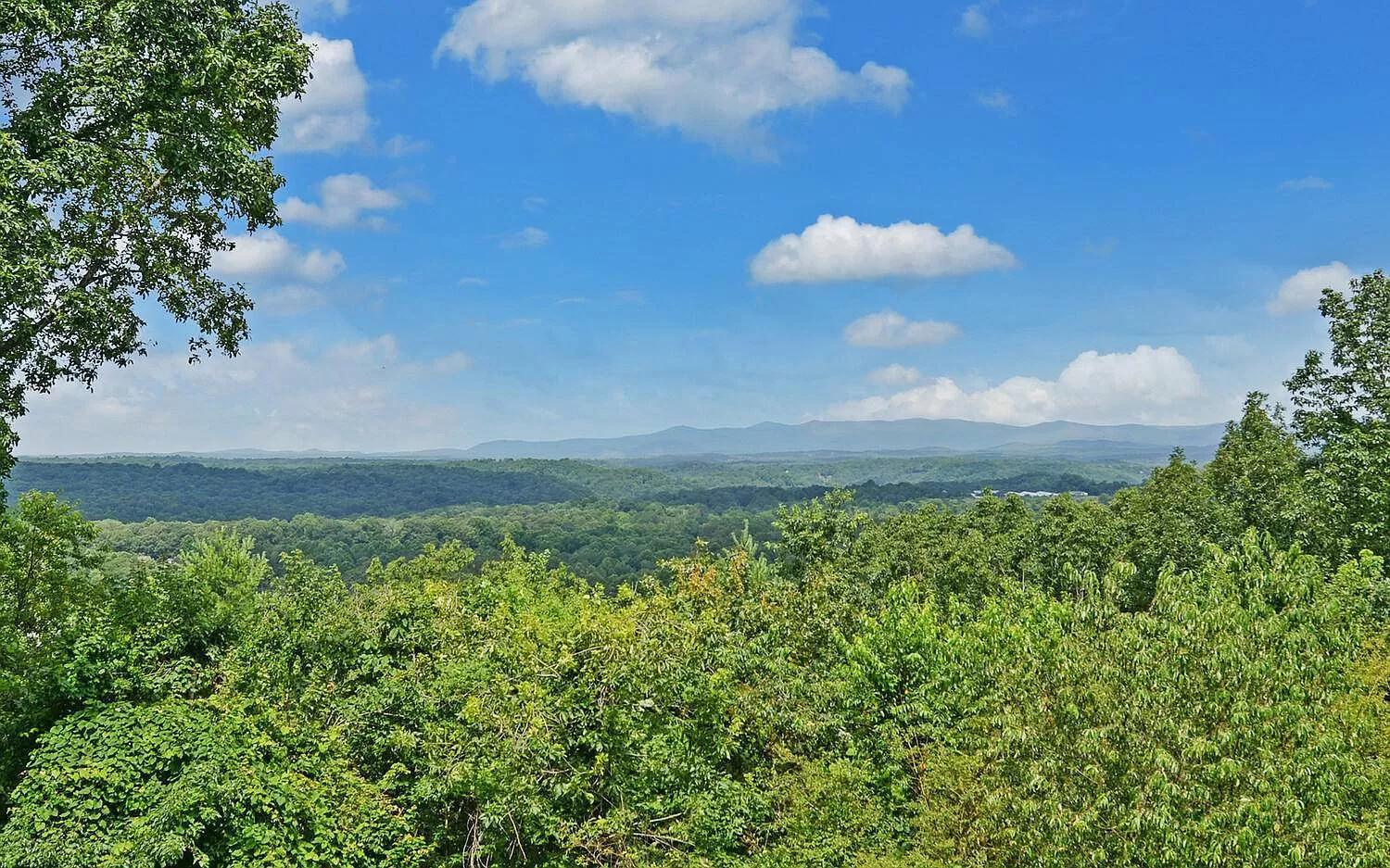 Birds Eye Cabin - Sunset & Starry Retreat Pet Friendly W Private Hottub, Fire Pit And Game Room เอลลิเจย์ ภายนอก รูปภาพ