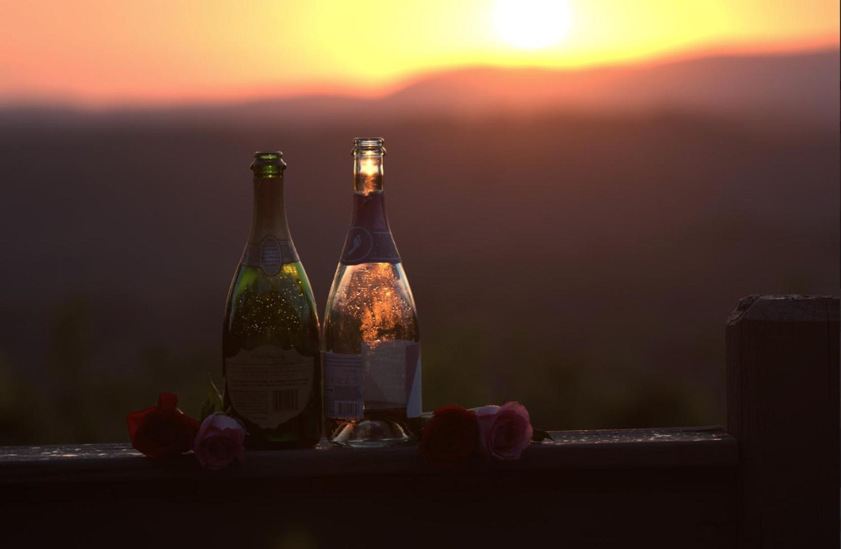 Birds Eye Cabin - Sunset & Starry Retreat Pet Friendly W Private Hottub, Fire Pit And Game Room เอลลิเจย์ ภายนอก รูปภาพ